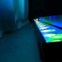 ADJ Ultra Hex Bar 12 - Image 5