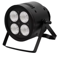 Stage Works Outdoor 4*50W LED Par Light